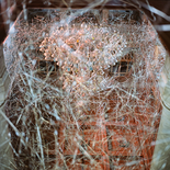 o.T. aus der Serie 'Aufhänger' (Inszenierung im Palais Yeniköy, Istanbul), 2014

Print, 60 x 60 cm, Aluwechselrahmung
EdA, Auflage: 5, rückseitig signiert, aus Privatsammlung

Ausrufpreis: 500,-